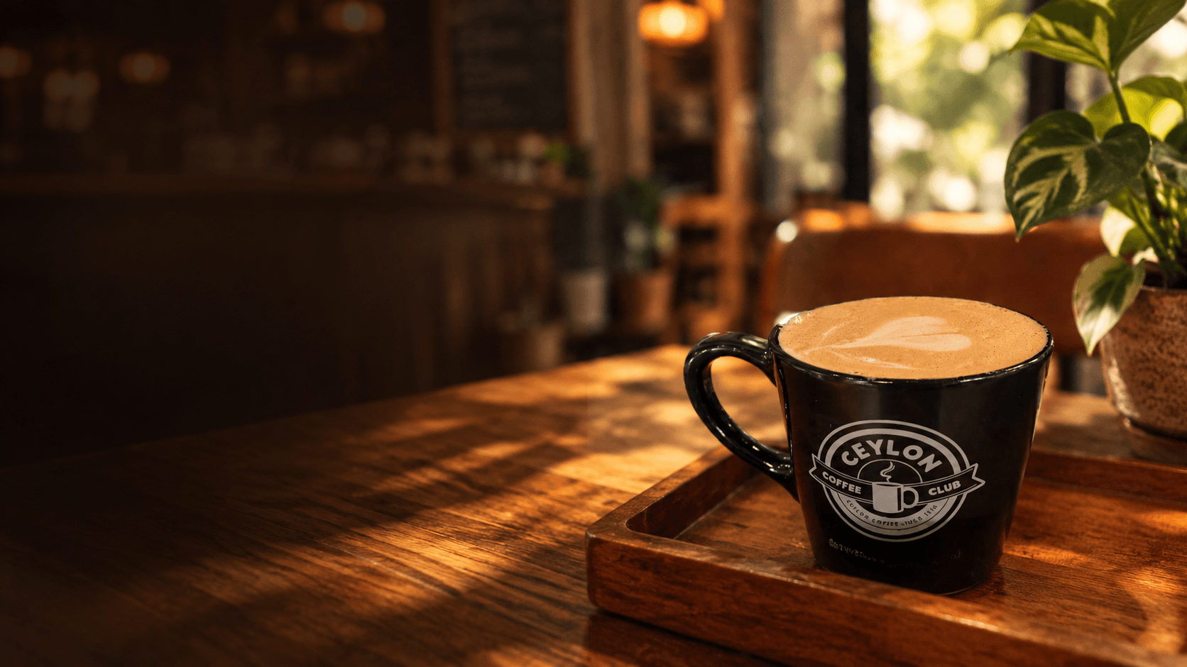 Ceylon Coffee Club cup on a sunlit café table